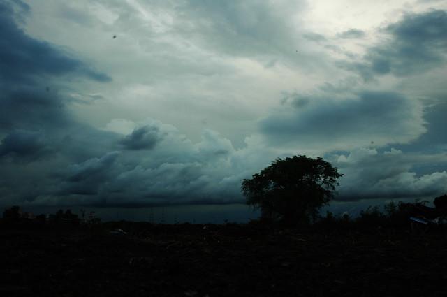 Best Beaches in Goa During Monsoon Season to Visit (That Are Safe Too!)