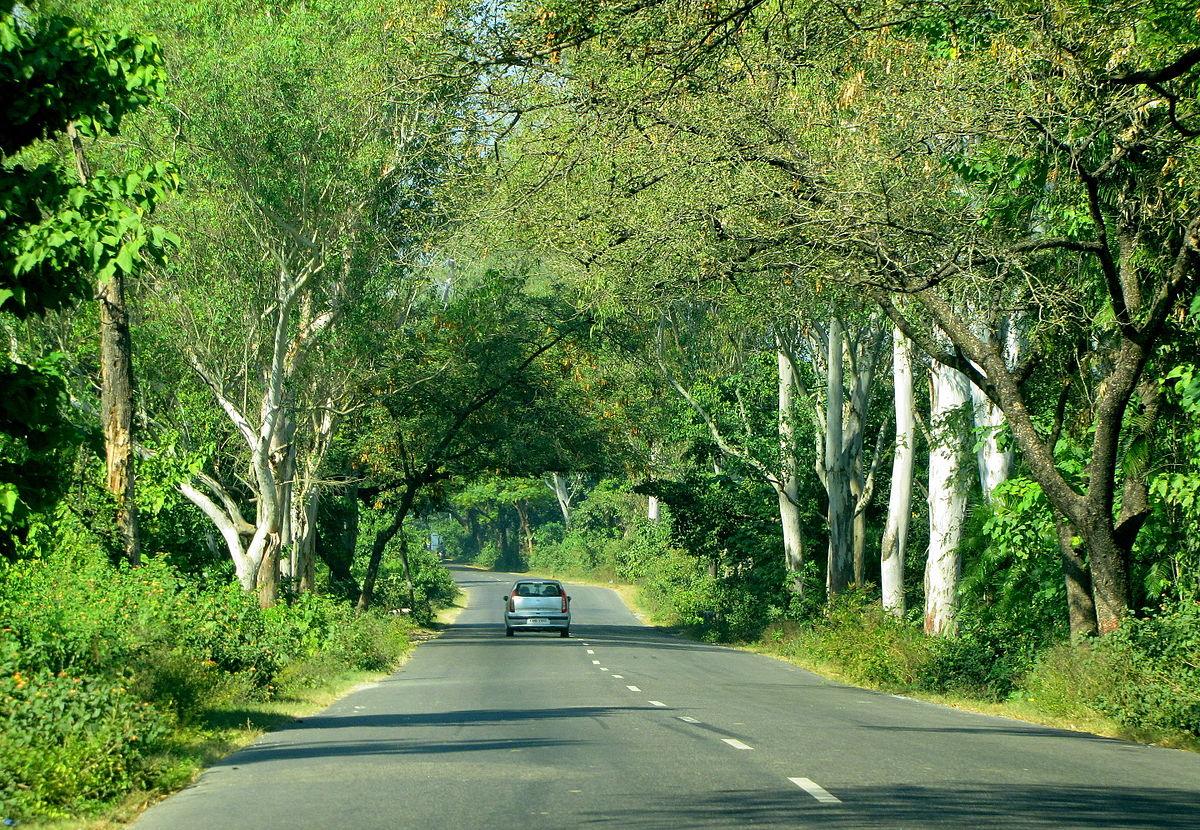 Delhi To Mussoorie Road Trip: Route, How to Reach, Places to Visit & More