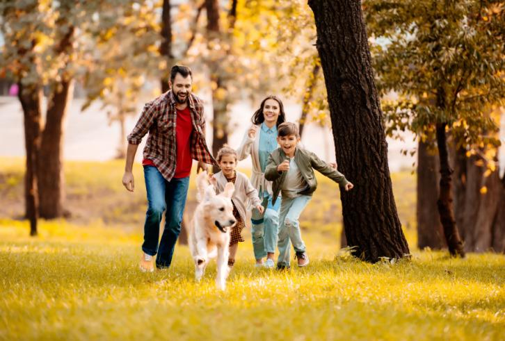 Plan a Scenic Escape: Luxury Villas Near Pune with Perfect Weather