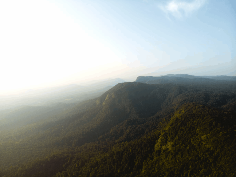 Monsoon Treks in Karnataka: Complete Guide to Rainy Season Adventures