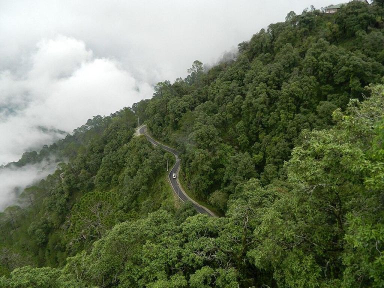 Top Places to Visit Near Delhi for Offsite Getaways: Where to Go, Things to Do and Where to Stay