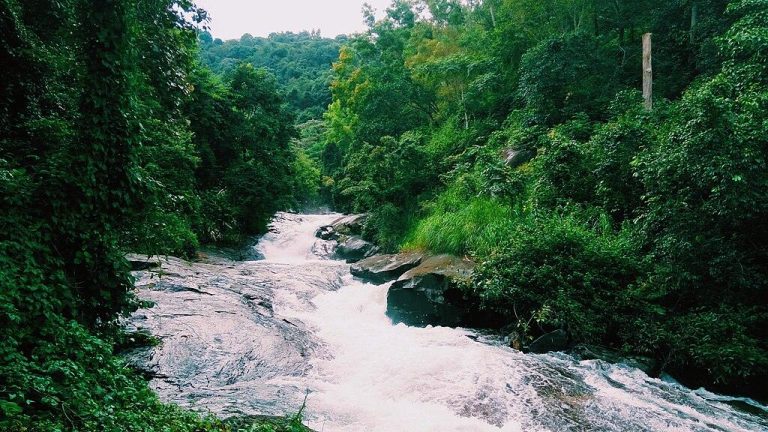 Peaceful Places to Visit in Monsoon in India: No Tourists, Just Rain & Greenery
