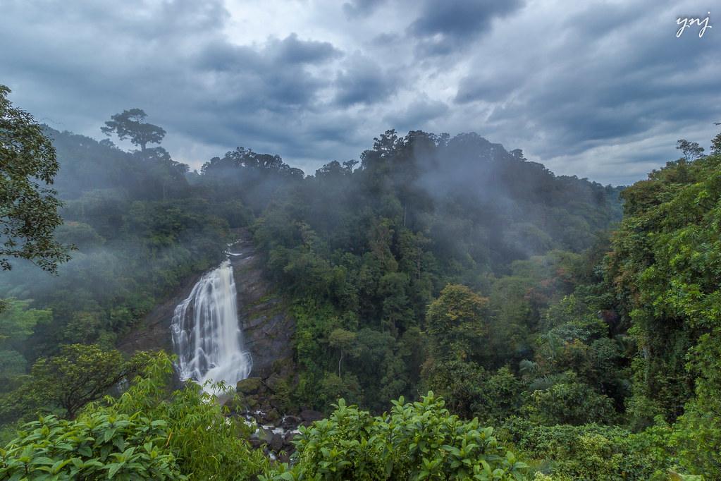 India Monsoon Map 2026: Where It’s Raining & Where It’s Dry
