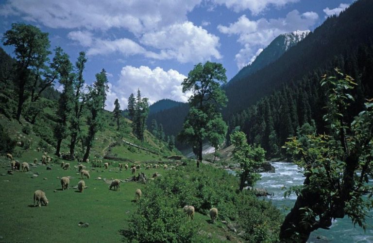 How to Plan the Perfect Stay in Pahalgam, Kashmir This Winter