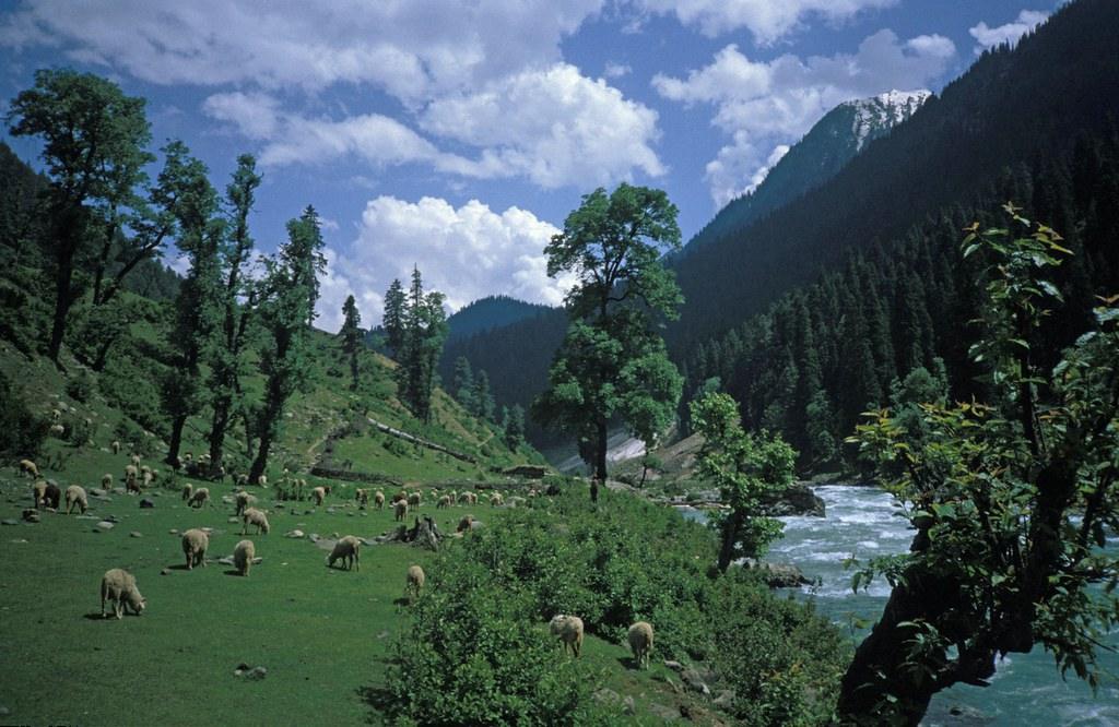 How to Plan the Perfect Stay in Pahalgam, Kashmir This Winter