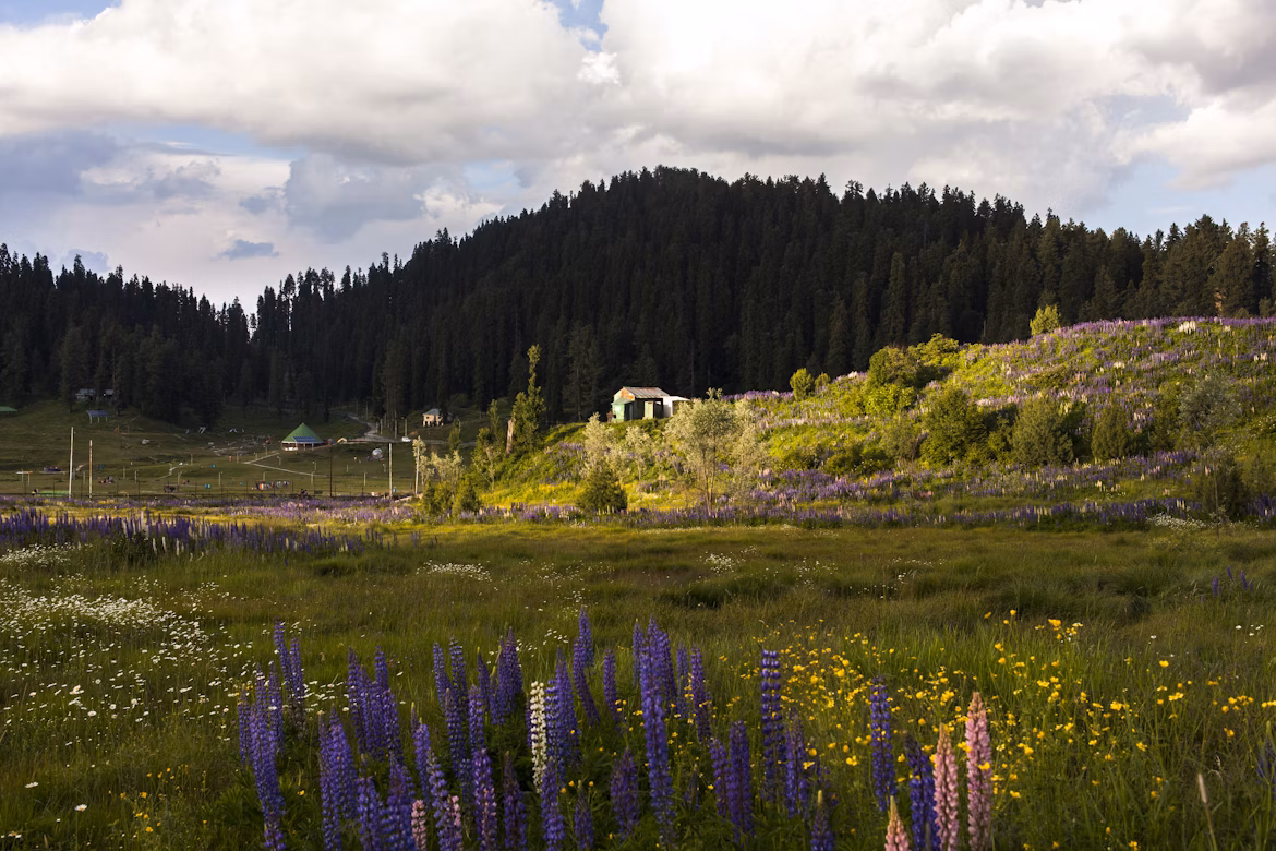 Where to Stay in Kashmir: Top Hotels, Villas & Insider Tips