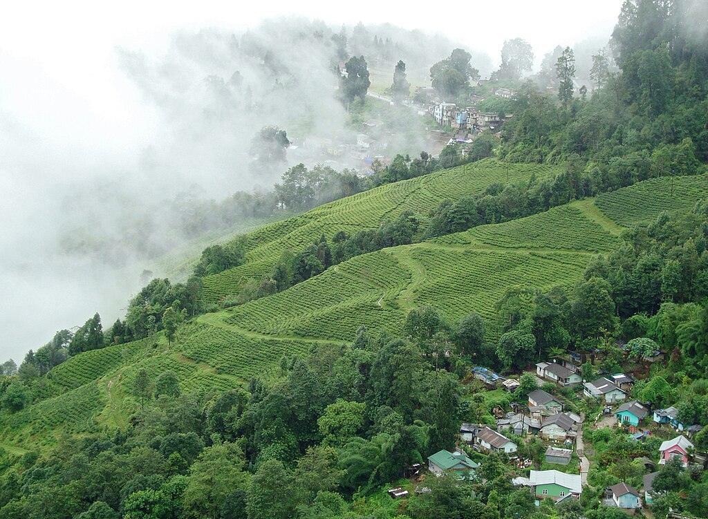 दार्जिलिंग जाने का सही समय – मौसम के अनुसार गाइड
