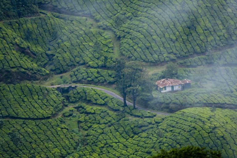 Complete Guide to the Best Places to Visit Around Kodaikanal