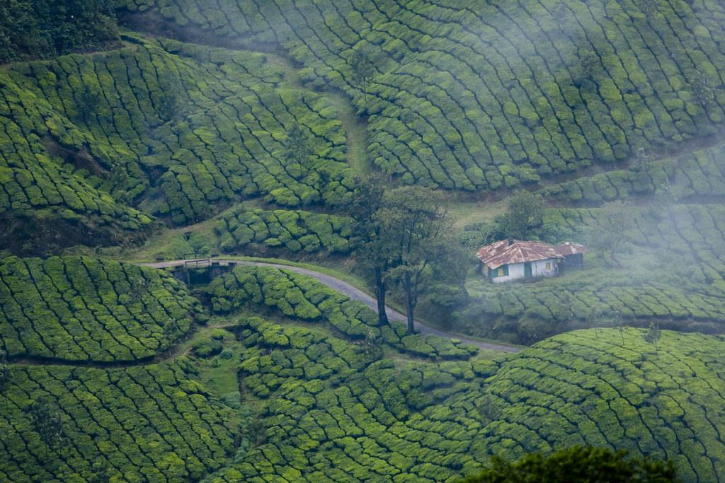 Complete Guide to the Best Places to Visit Around Kodaikanal
