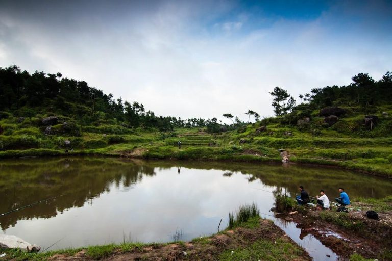 Top Post Monsoon Places to Visit in India for Scenic Escapes