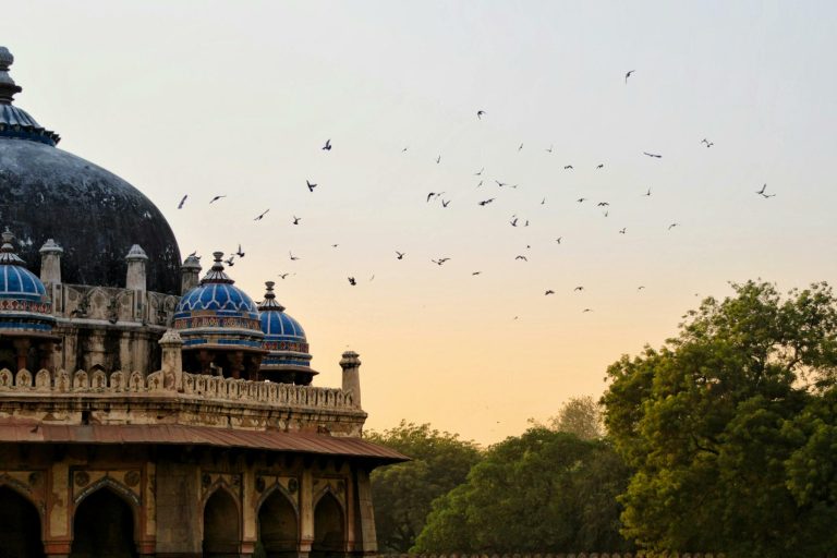 Best Places to Visit Near Delhi: Your Guide to Perfect Getaways