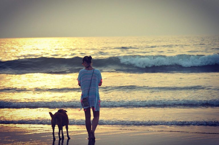 Beach Holidays in Goa: Seasonal Guide to Vagator, Morjim, and Baga