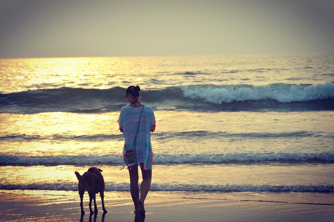 Beach Holidays in Goa: Seasonal Guide to Vagator, Morjim, and Baga