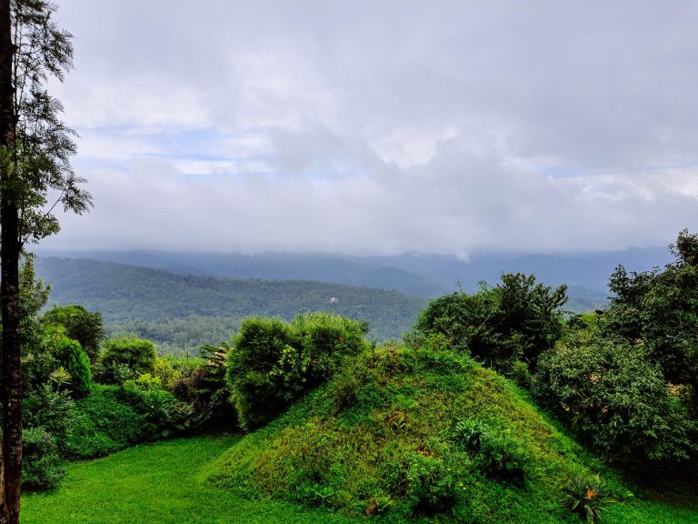 Experience Coffee Culture: Your Guide to Homestays in Chikmagalur