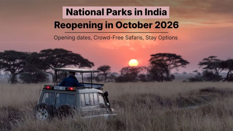 National Parks in India Reopening in October 2026 | Crowd-Free Safari Guide