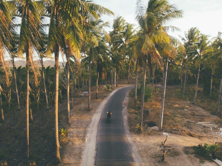 Why Parra Goa Is North Goa’s Most Instagrammable Hideaway