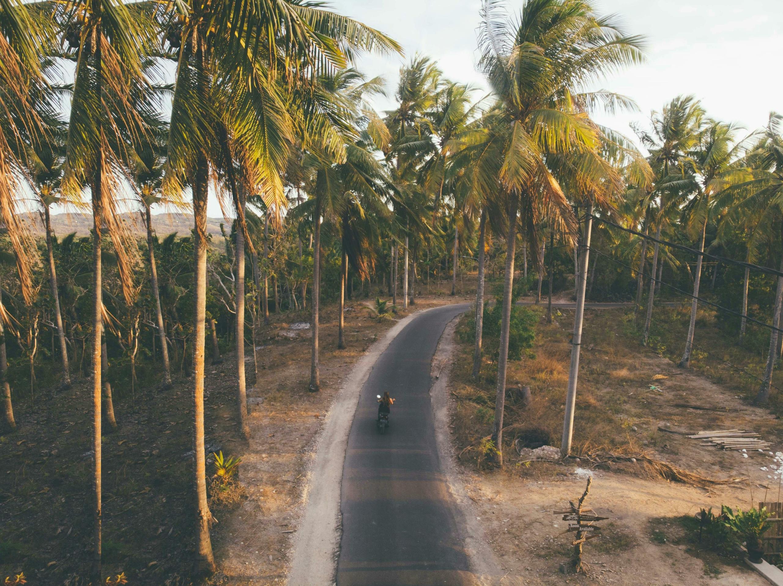 Why Parra Goa Is North Goa’s Most Instagrammable Hideaway