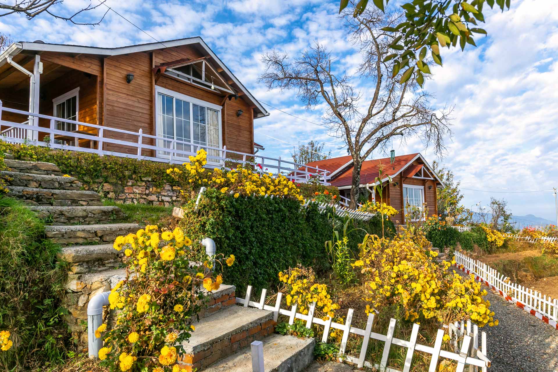 Experience the Magic of Homestays in Nainital for Your Perfect Getaway