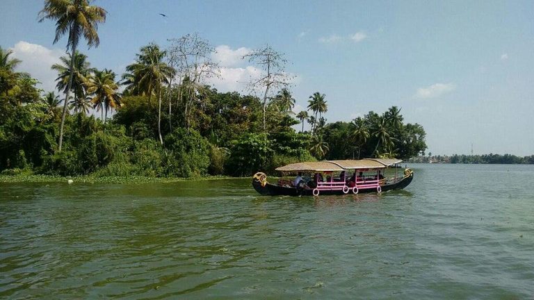 Experience Authentic Homestays in Alleppey for a Unique Getaway