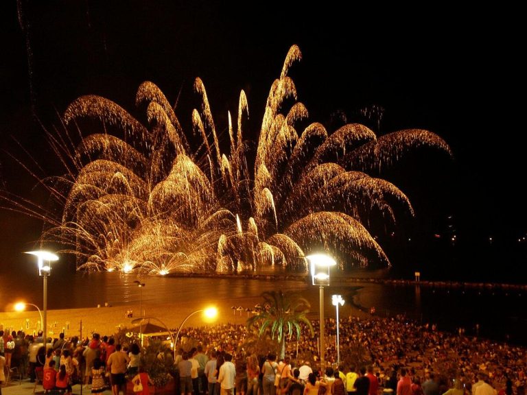 Beyond Goa: 8 Best New Year Party Destinations in India for 2026 Celebrations