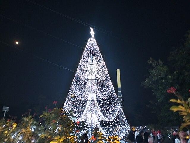 Most Searched Christmas Destinations in India 2025 | Top 10 Places
