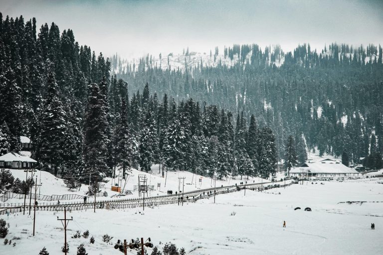 10 Scenic Places Near Delhi to Experience Snowfall & the Coldest Winters in India 2025