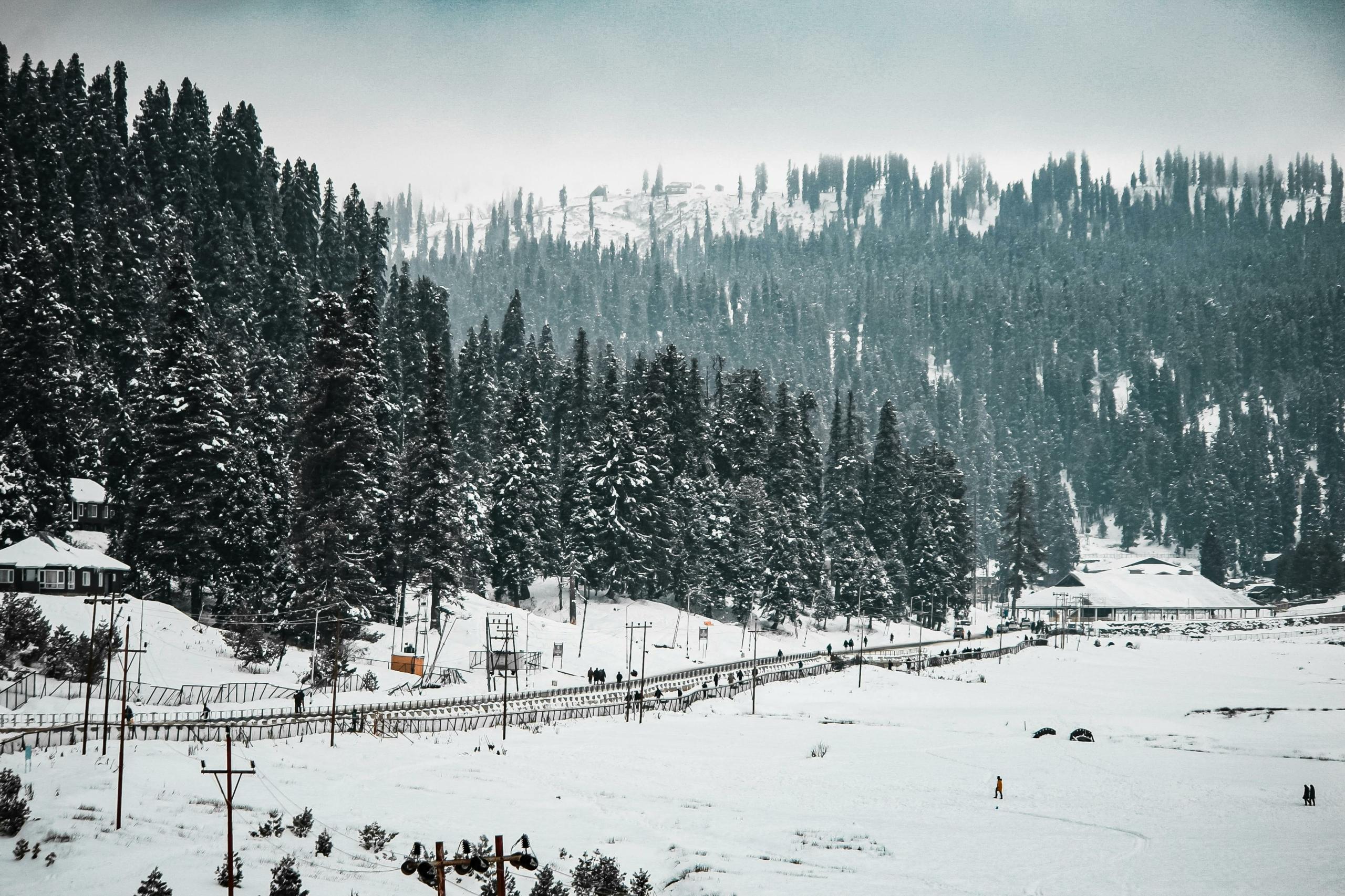 10 Scenic Places Near Delhi to Experience Snowfall & the Coldest Winters in India 2025