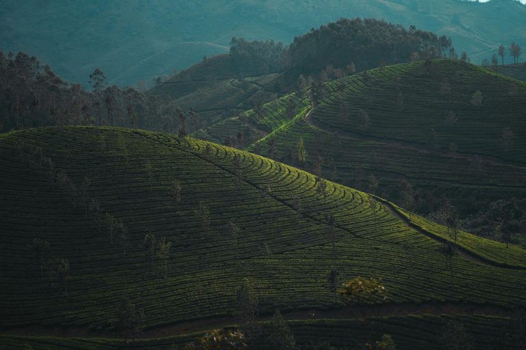 10 Best Ecotourism Destinations in India for a Green Getaway (2026-2027)