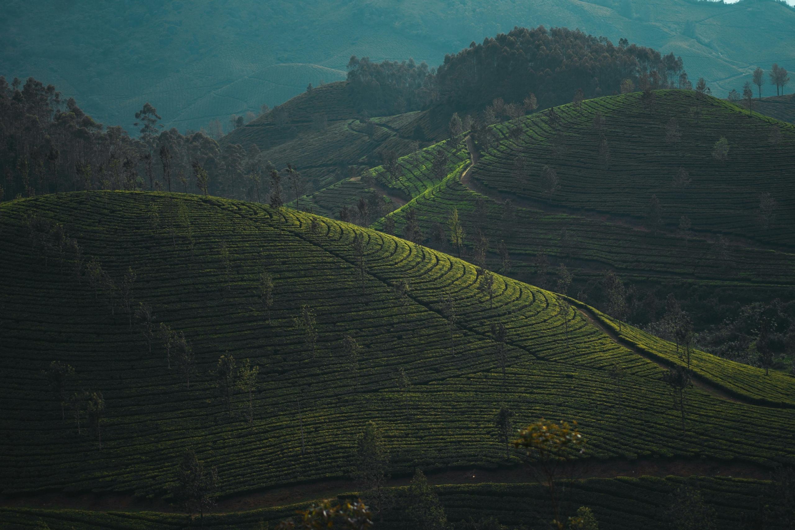 10 Best Ecotourism Destinations in India for a Green Getaway (2026-2027)