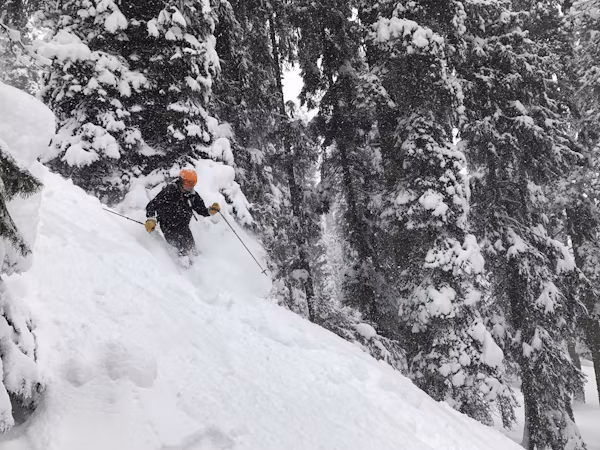 Skiing in India: Auli vs Gulmarg – Which Winter Ski Resort Should You Pick?