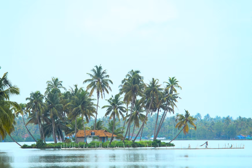 15 Best Places to Visit in Kochi – Explore Kerala’s Historic Port City