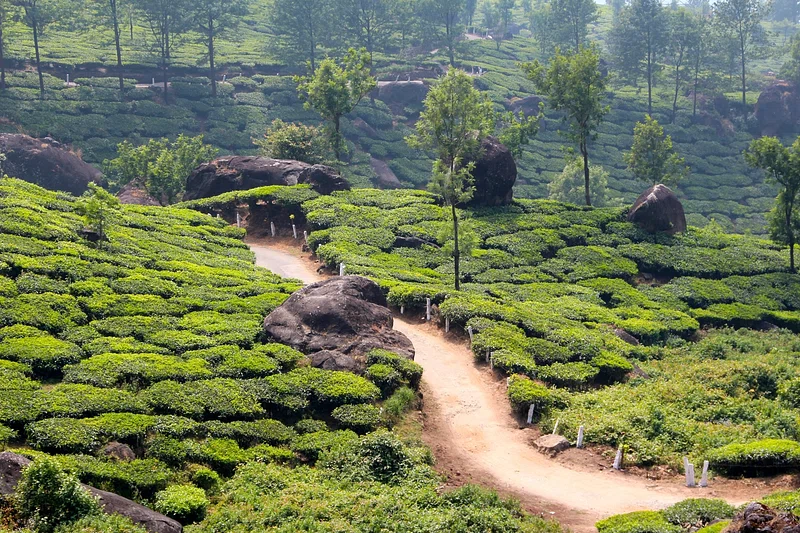 Eco-Friendly Travel in India | Best Sustainable Stays & Green Experiences