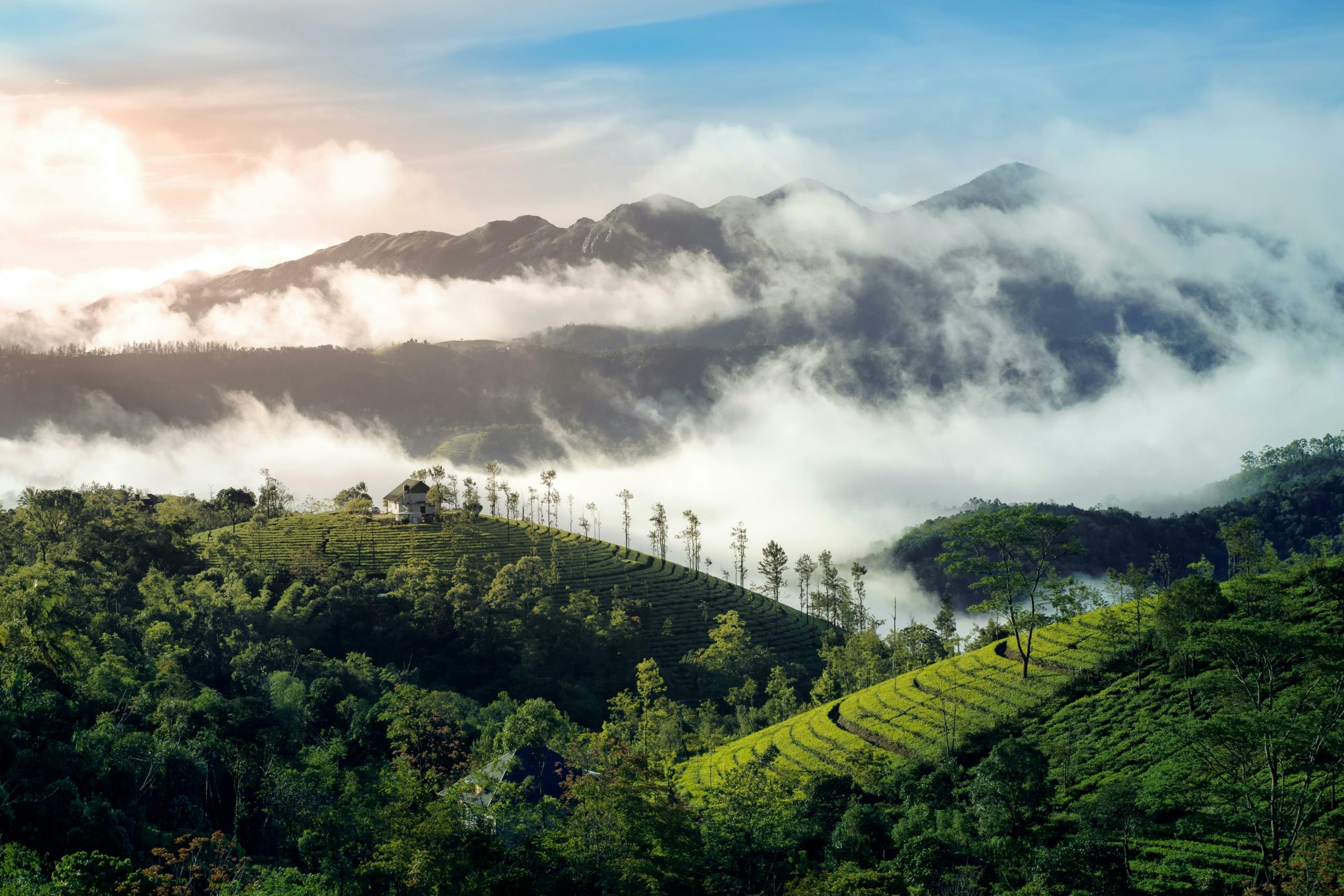 सर्दियों में घूमने के लिए best hill stations in India: मनाली से लोनावाला तक के लक्ज़री विला