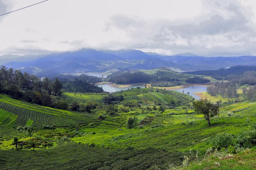 Best Places to Visit in Tamil Nadu in December 2026