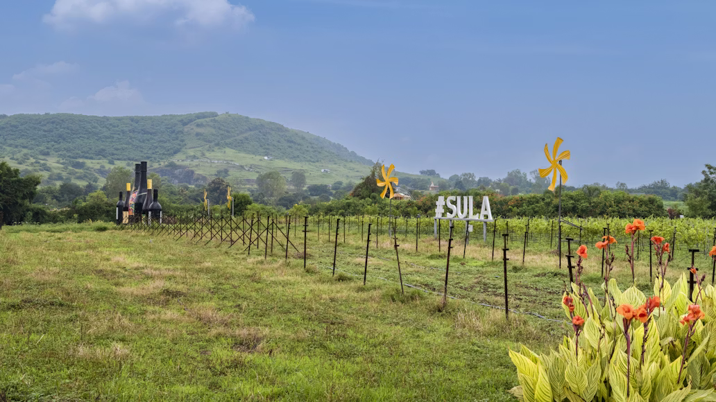 Best Vineyards in India 2026 | Tours, Stays & Wine Experiences