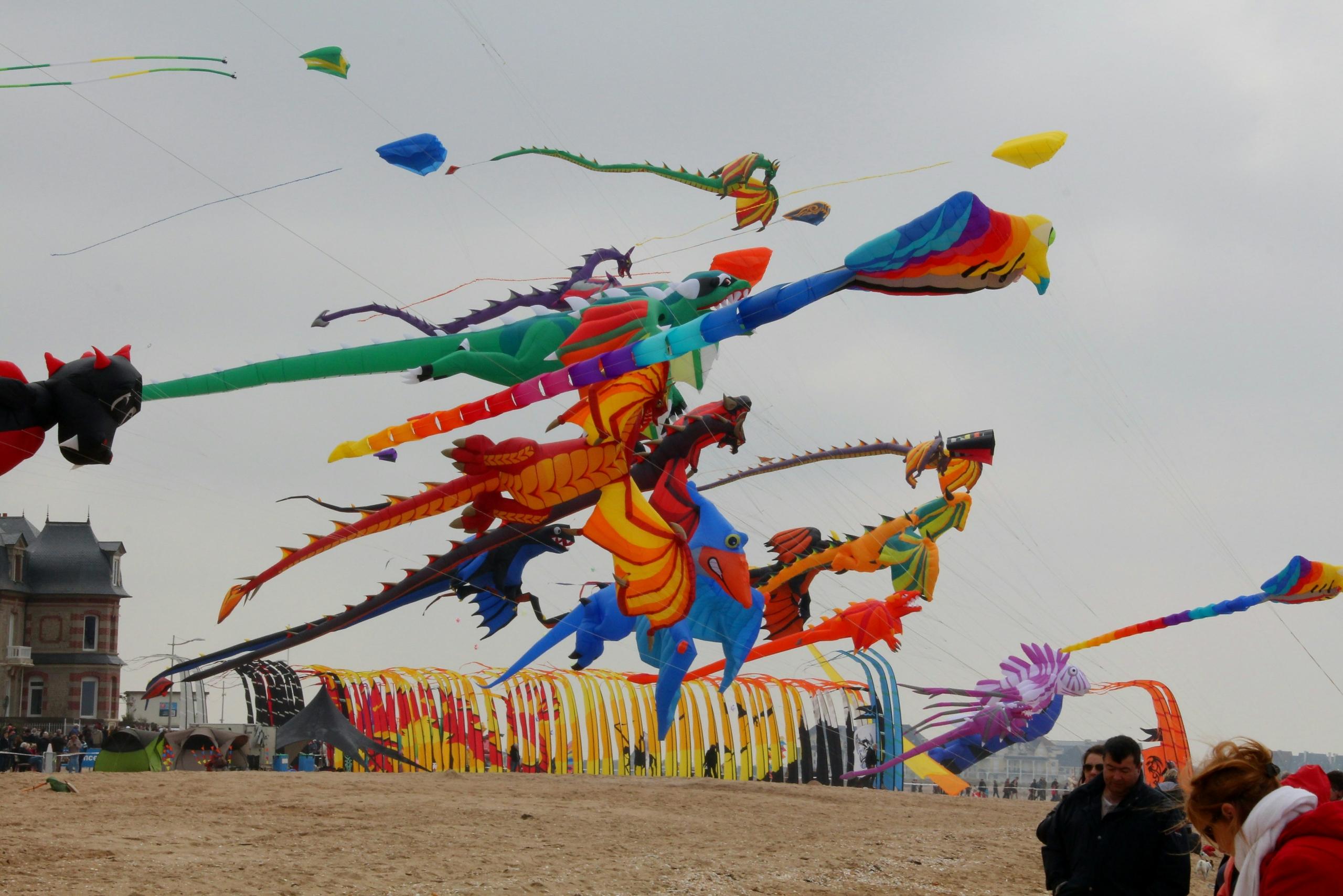 Makar Sankranti 2026: Best Kite Festivals in Ahmedabad, Jaipur & Hyderabad