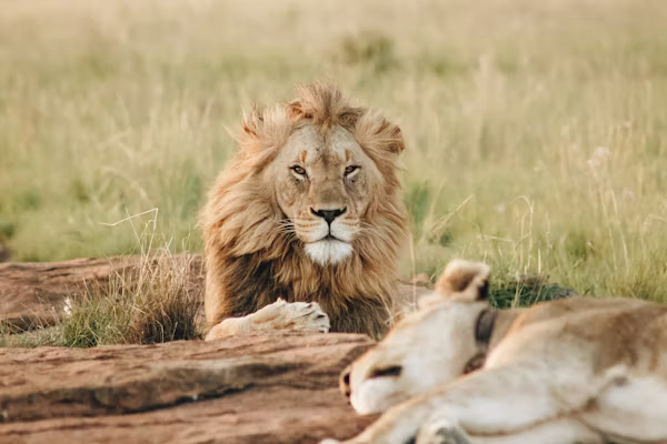 February Is the Best Time for a Safari in Nagpur — Here’s Where to Go