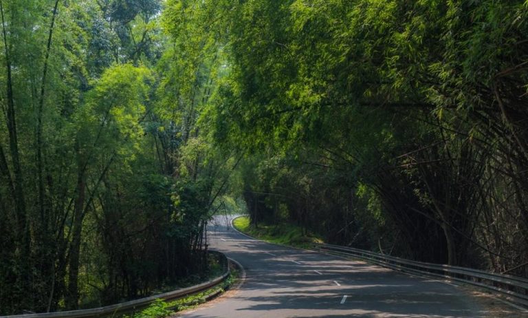 Kochi to Trivandrum Road Trip 2026 – Route and Top Stops