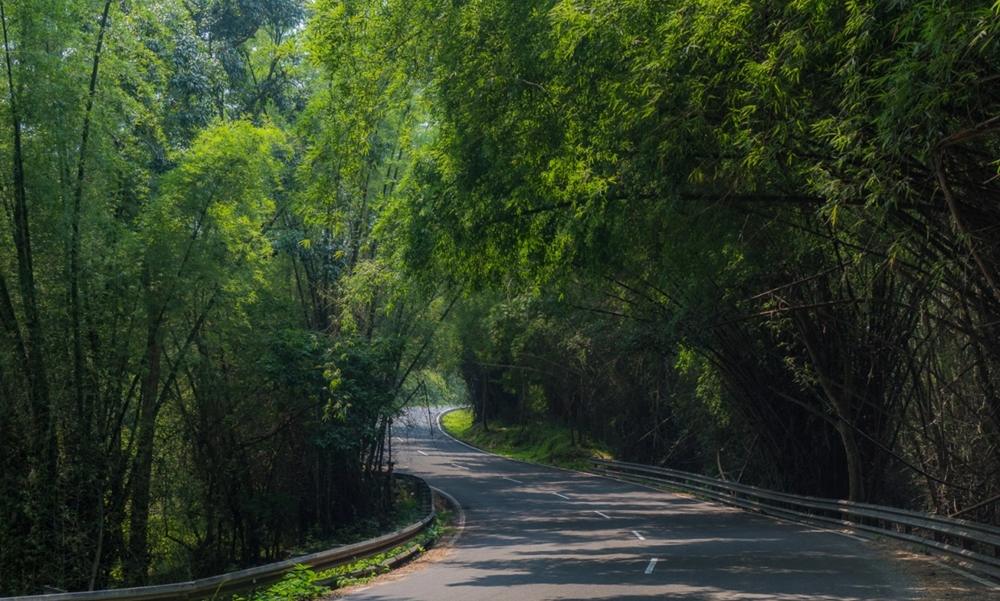 Kochi to Trivandrum Road Trip 2026 – Route and Top Stops