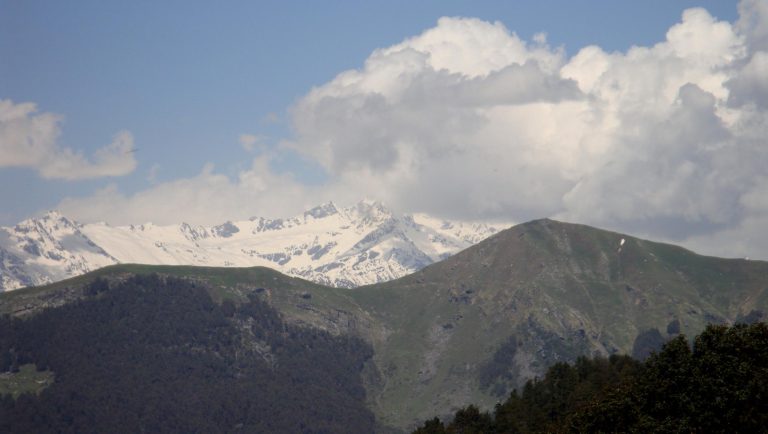 Why Shoja in Himachal Is Suddenly Everywhere on Travel Reels