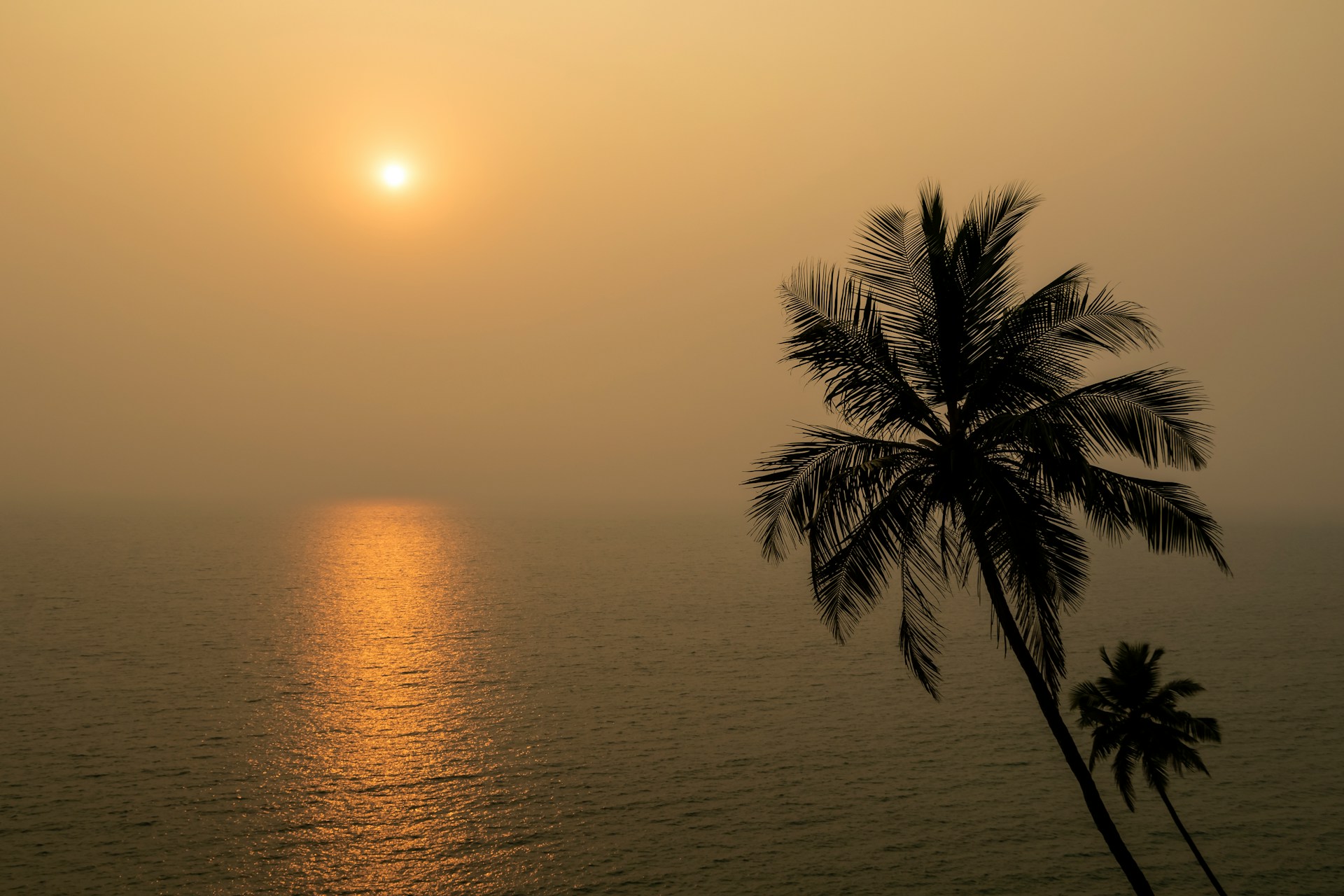 Ultimate Goa Travel Guide 2026: Beaches, Villas, Beach Clubs & Beyond