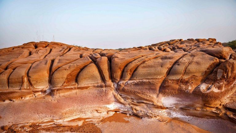 Lyari Rock Beds in Kutch: A Guide to India’s Jurassic-Era Landscape