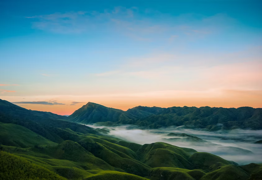 Dzukou Valley Trek in February: Best Time, Weather & Planning