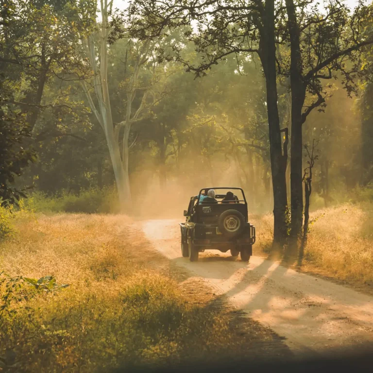 Pench vs Tadoba? February Is When the Difference Really Shows