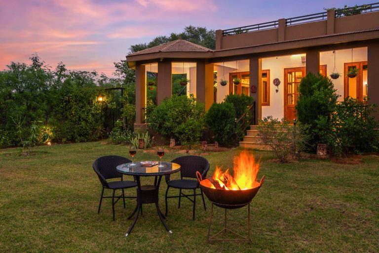 Wildwood Canopy: A Garden Retreat Shaped for Slow Living