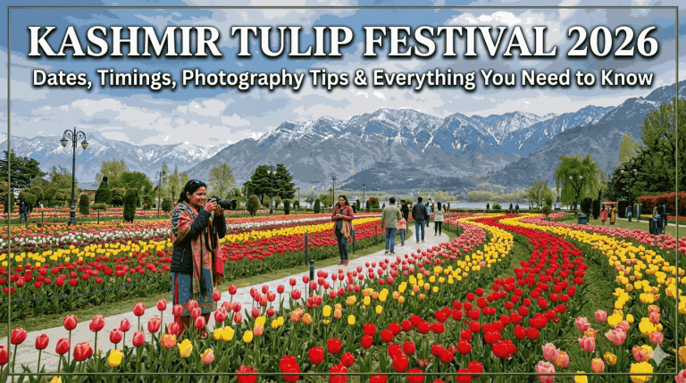 Kashmir Tulip Festival 2026: Dates, Timings & Travel Guide (Updated)