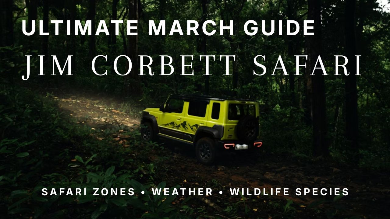 Jim Corbett Tiger Safari Guide: April–June 2026 (Last Chance Before Monsoon)