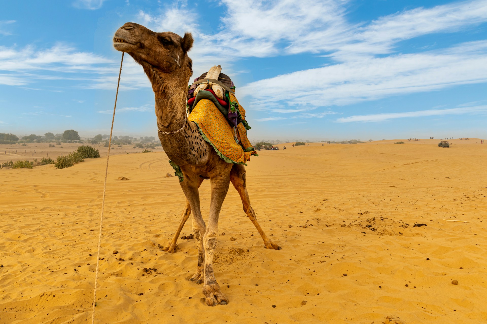 Osian vs Jaisalmer Desert Safari: Which One Should You Choose?