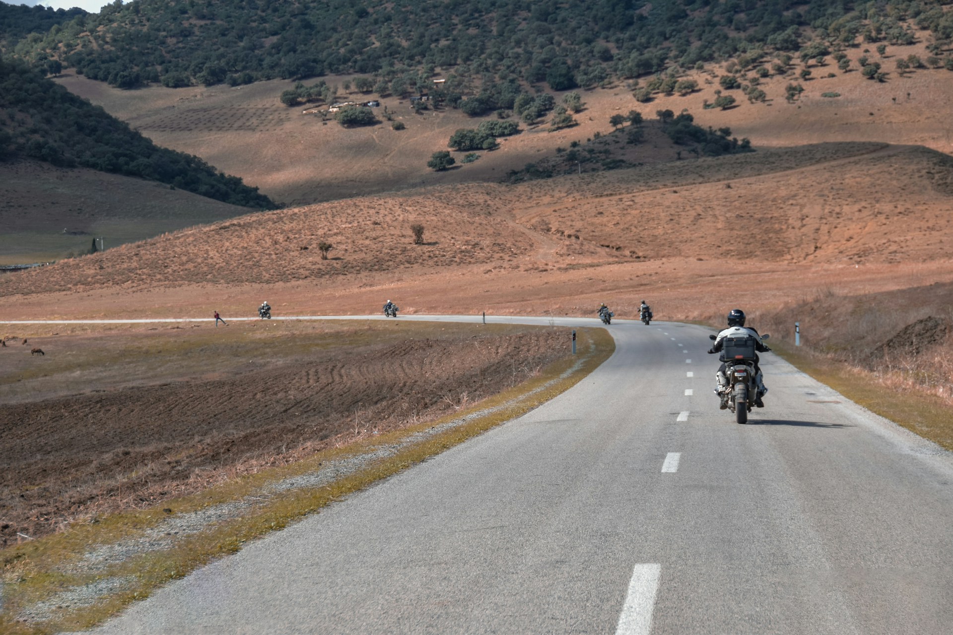 When Do Ladakh Roads Open in 2026? Manali and Srinagar Route Status and Travel Advice