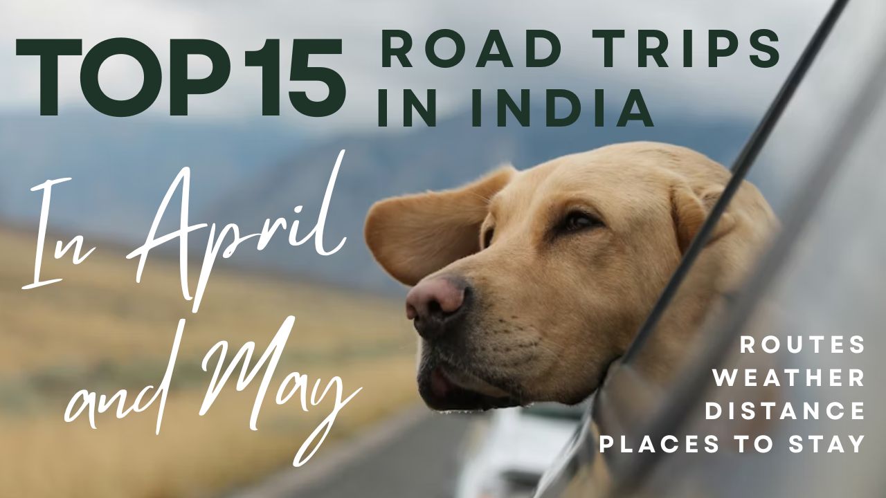 15 Best Road Trips in India for April & May 2026: Routes, Distances & Where to Stay